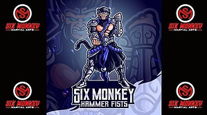 Monkey Kung Fu Lessons. Kung Fu Lessons Online. Kung Fu Classes Online.